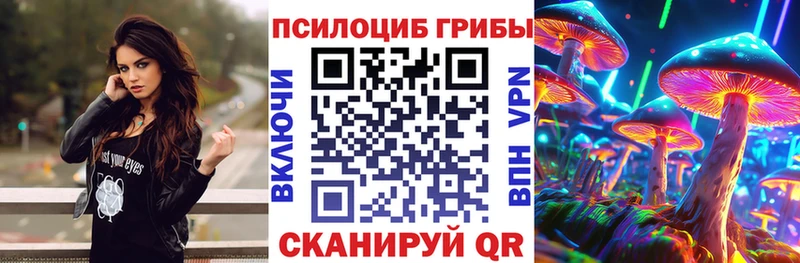 Псилоцибиновые грибы Cubensis  Фокино 